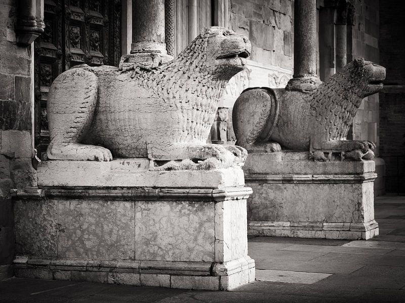 Photographie en noir et blanc : La Cathédrale de Parme par Alexander Voss