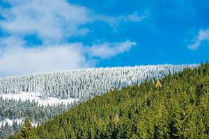 Winter im Riesengebirge bei Pec pod Snezkou, Tschechien
