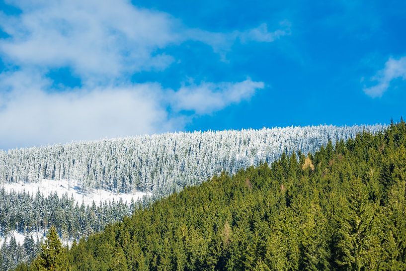 Winter im Riesengebirge bei Pec pod Snezkou, Tschechien von Rico Ködder