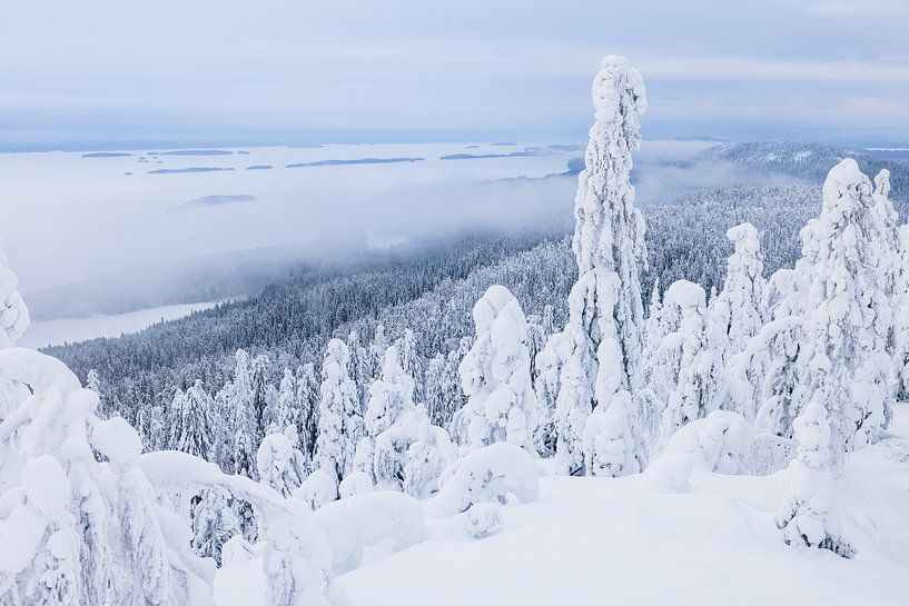 Foggy view from the top of Koli NP by Martijn Smeets