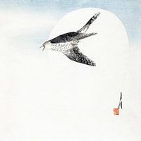 cuckoo in flight, Japan Japandi Art