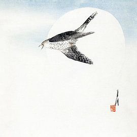 cuckoo in flight, Japan Japandi Art by Mad Dog Art