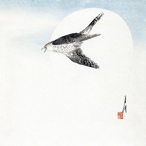Koekoek in vlucht, Japan Japani Art