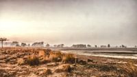 Strabrechtse Heide