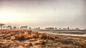 Strabrechtse Heide van Adri van Daal  Photo-Art