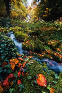 Goldener Herbst