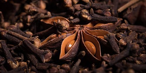 Panorama van steranijs en kruidnagel