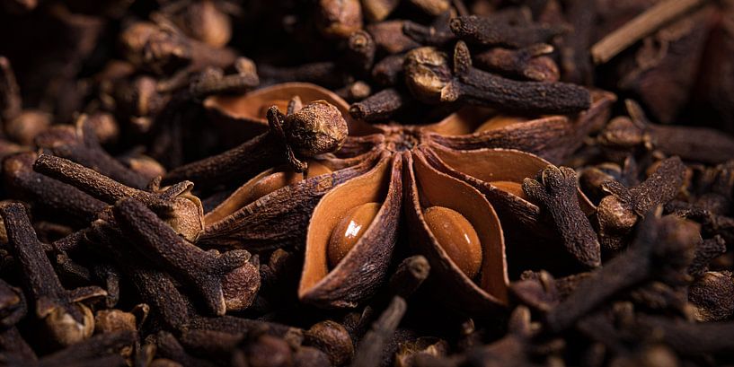 Panorama of star anise and cloves by Marjolijn van den Berg