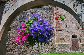 Decorated courtyard in Alsace by Tanja Voigt