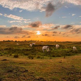Zonsondergang westduin van Albert van der Spaan