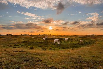 Sonnenuntergang Westdüne