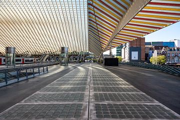 Luik Guillemins treinstation perron rechtdoor van Werner Lerooy
