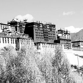 Palais du Potala à Lhassa, au Tibet sur Expediton Far East