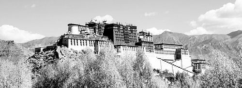 Potala Palast Lhasa Tibet