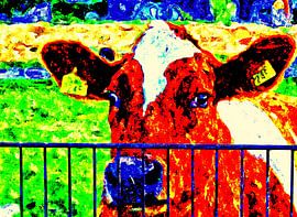 MORNING by Aat Kuijpers