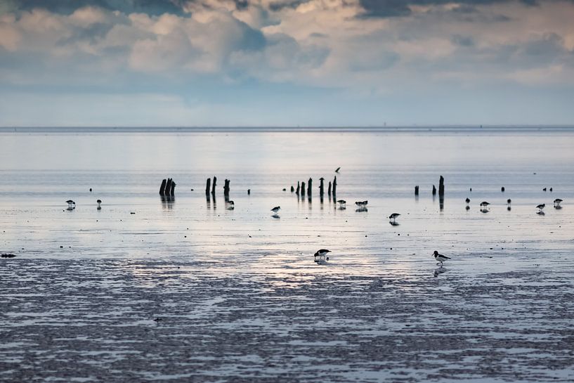 Low tide by Marieke_van_Tienhoven
