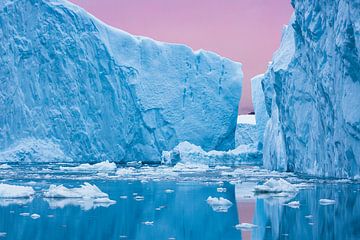 Icebergs reflect under pink sunset in Greenland by Martijn Smeets
