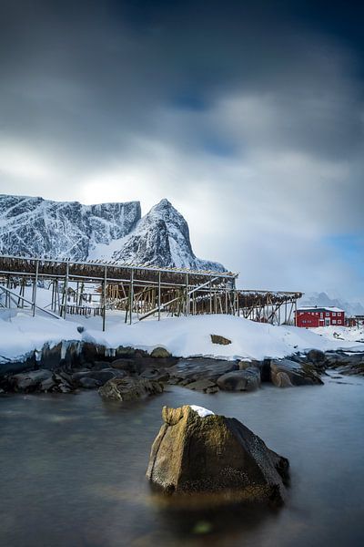 Light on Reine by Frank Laurens