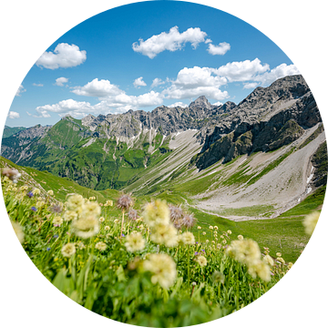 Bloemrijk uitzicht op de Hintersteiner vallei en de Hochvogel van Leo Schindzielorz