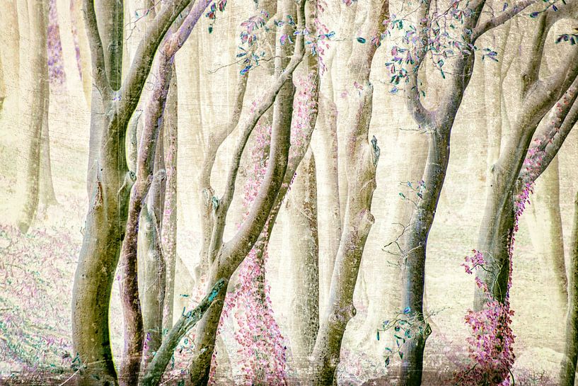 Forest magic II by Kirsten Warner