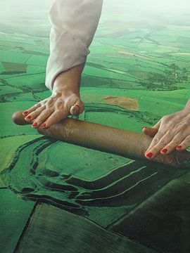 Meadows Roller - Landschap deegroller van Vertigo Artography