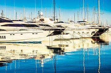 View of luxury motor yachts moored in marina, maritime by Alex Winter