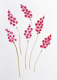 Blumen Eleganz Rot-Rosa von Bianca ter Riet