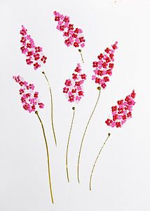 Fleurs élégance rose rouge