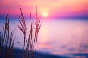 Purple Sunset No 2