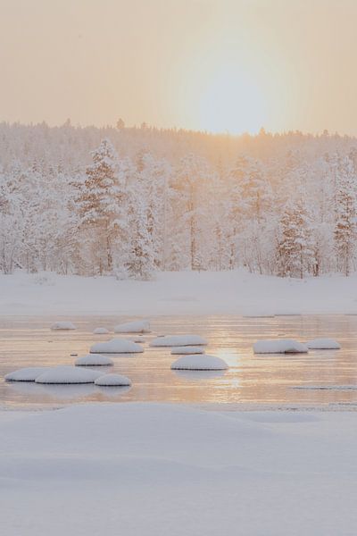 Voorbij de schoonheid  - Fotoprint winters landschap Zweeds Lapland van sonja koning