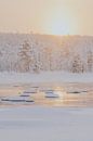 Voorbij de schoonheid  - Fotoprint winters landschap Zweeds Lapland van sonja koning thumbnail