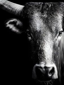 Stier – Archaische Stärke im Schwarzweiß-Porträt