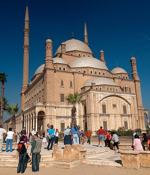 Moskee van Mohammed Ali van Maarten Verhees