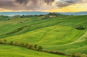 Toskanische Landschaft im Val D' Orcia von Ilya Korzelius