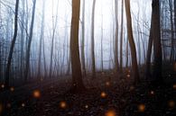 Mystischer Herbstwald van Oliver Henze thumbnail