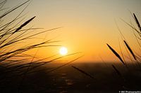 Zonsopgang - 1