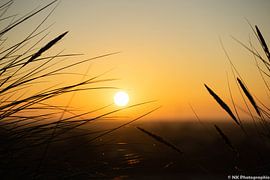 Sunrise - 1 by NK PHOTOGRAPHIE