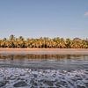 Plage avec des palmiers au Costa Rica sur Bianca Kramer