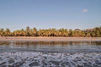 Strand met palmbomen in Costa Rica