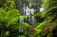 La plus belle chute d'eau - Russell Falls - Tasmanie - Australie - Parc national de Mount Field par Jiri Viehmann Aperçu