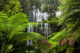 Schönster Wasserfall - Russell Falls - Tasmanien - Australien - Mount Field National Park von Jiri Viehmann