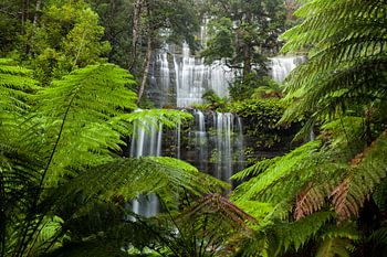 Schönster Wasserfall - Russell Falls - Tasmanien - Australien - Mount Field National Park