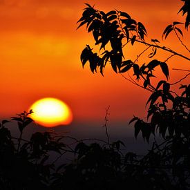Sunset in Downunder by Jurgen Hak