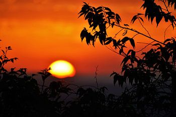 Sonnenuntergang Down Under