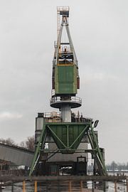 Verlassener Riese: Der Winterkranich in Vergessenheit von Melvin Meijer