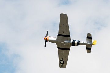 P-51 Mustang "Trusty Rusty" van Wim Stolwerk