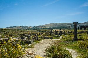 Volubilis in Marokko
