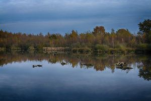 Herbst in der Groote Peel (Limburg)