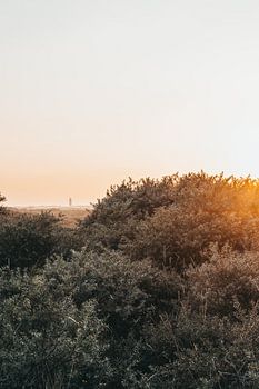 Der Leuchtturm von Ouddorp (vertikal)