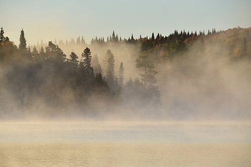 Un brouillard sur le lac à l'automne